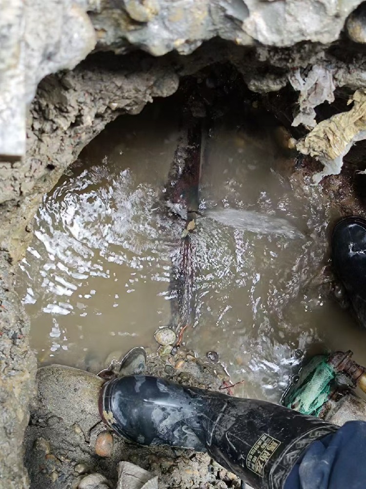 辽阳本地服务：小区水管漏水检测维修